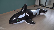 真夏に入った空気入りクジラの圧迫蒸暑呼吸制御放置
